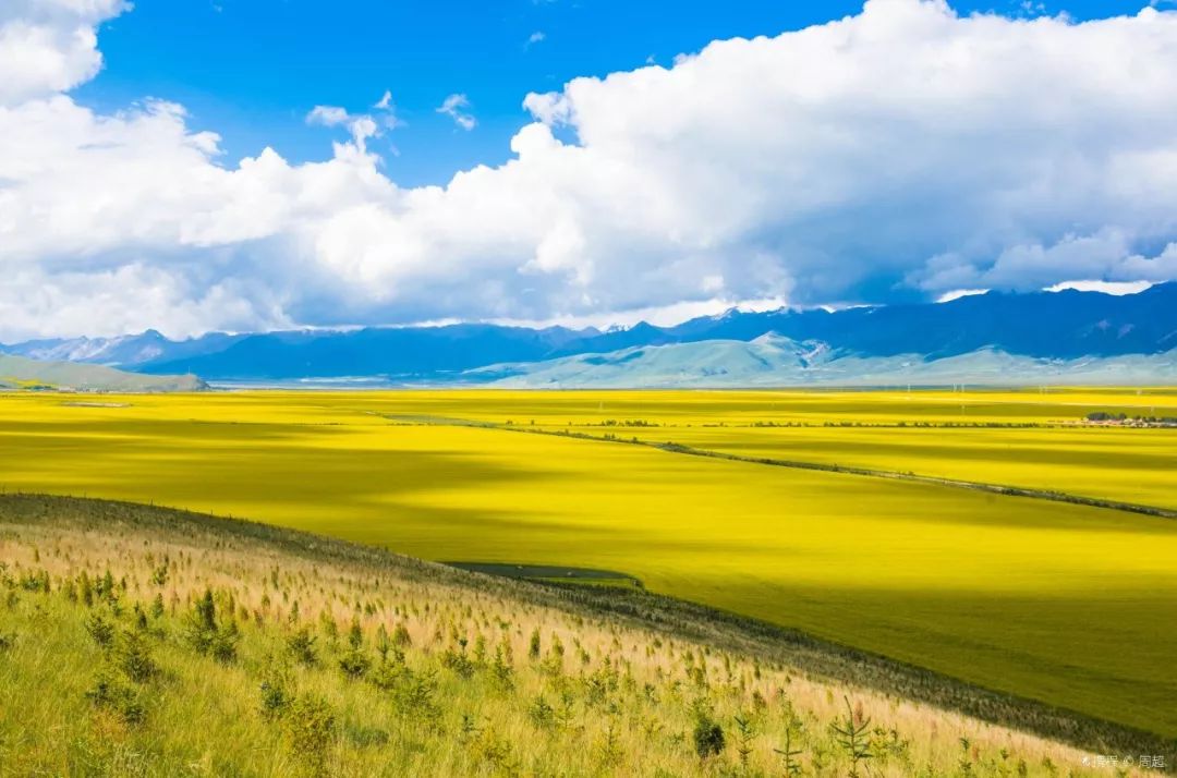 青海，高原明珠，文化瑰宝之旅